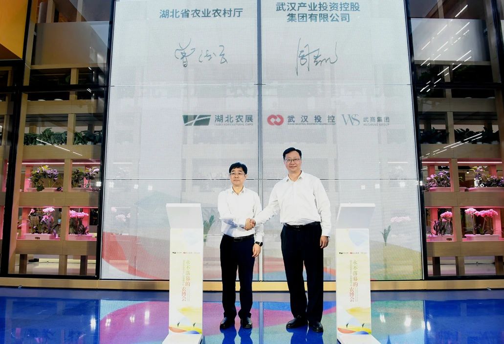 ibet·(集团)有限公司官网